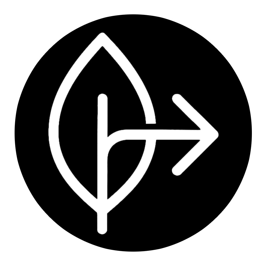 MongoNext Logo